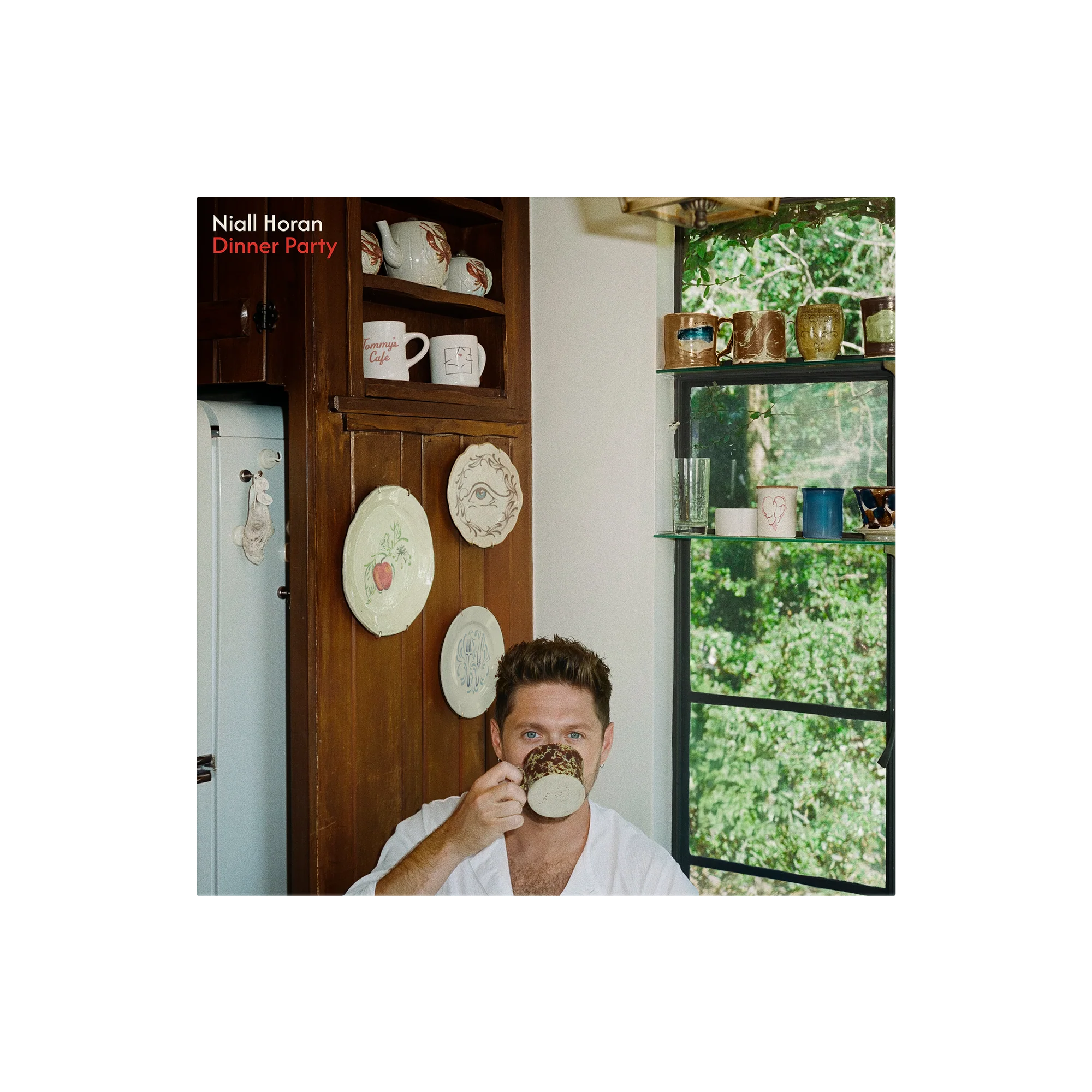 Dinner Party - Porcelain Vinyl